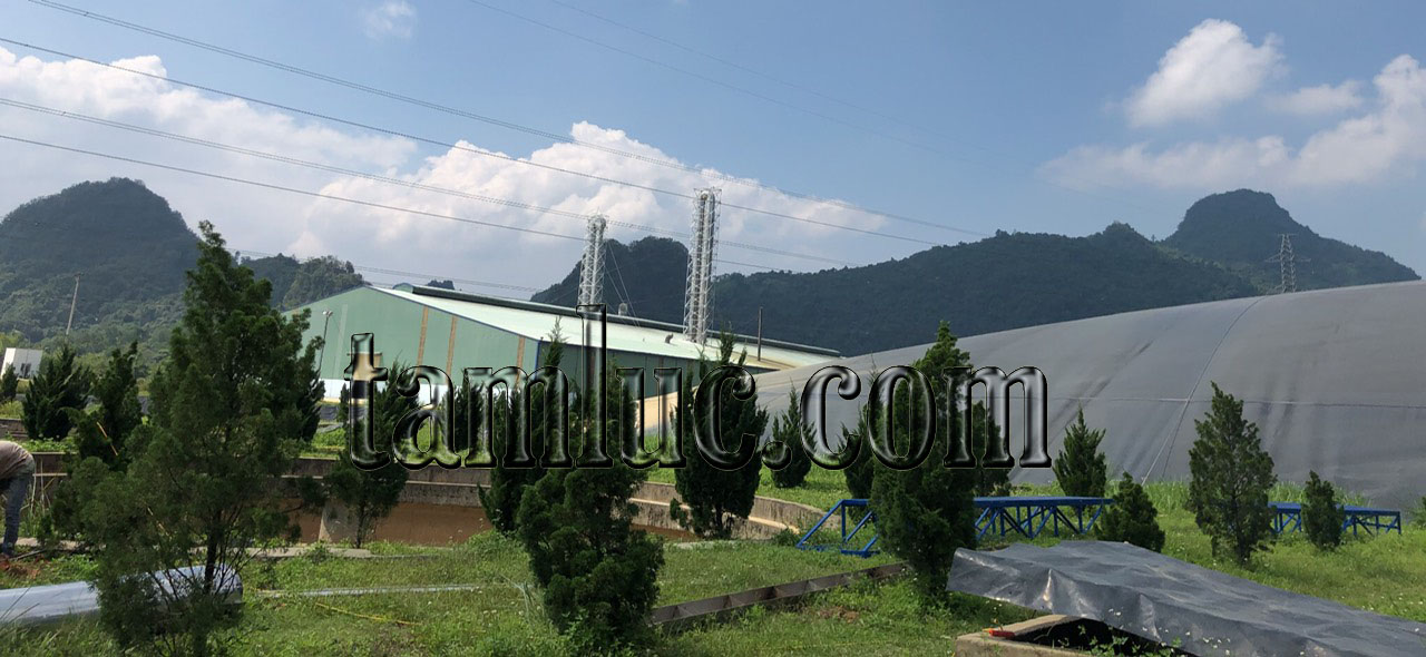 Câu hỏi thường gặp (FAQ) về xử lý nước thải bột mì